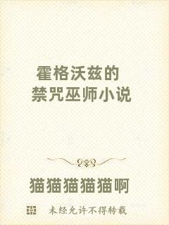 霍格沃茲的禁咒巫師小說