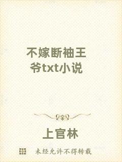 不嫁斷袖王爺txt小說(shuō)